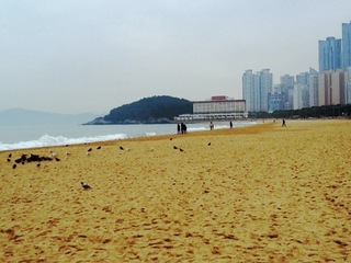 プサン視察旅行 109ビーチa.jpg