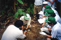 pic_treeplant01.jpg